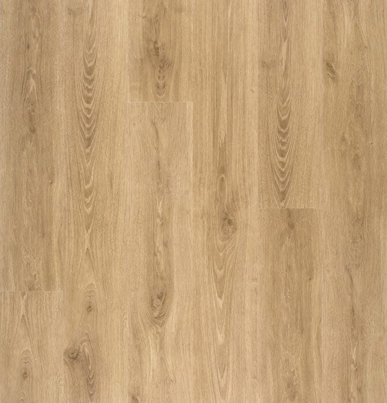 CAJA DISFLOOR TOP 4V 8 mm 34829 ROBLE AUTÉNTICO NATURAL - Imagen 1
